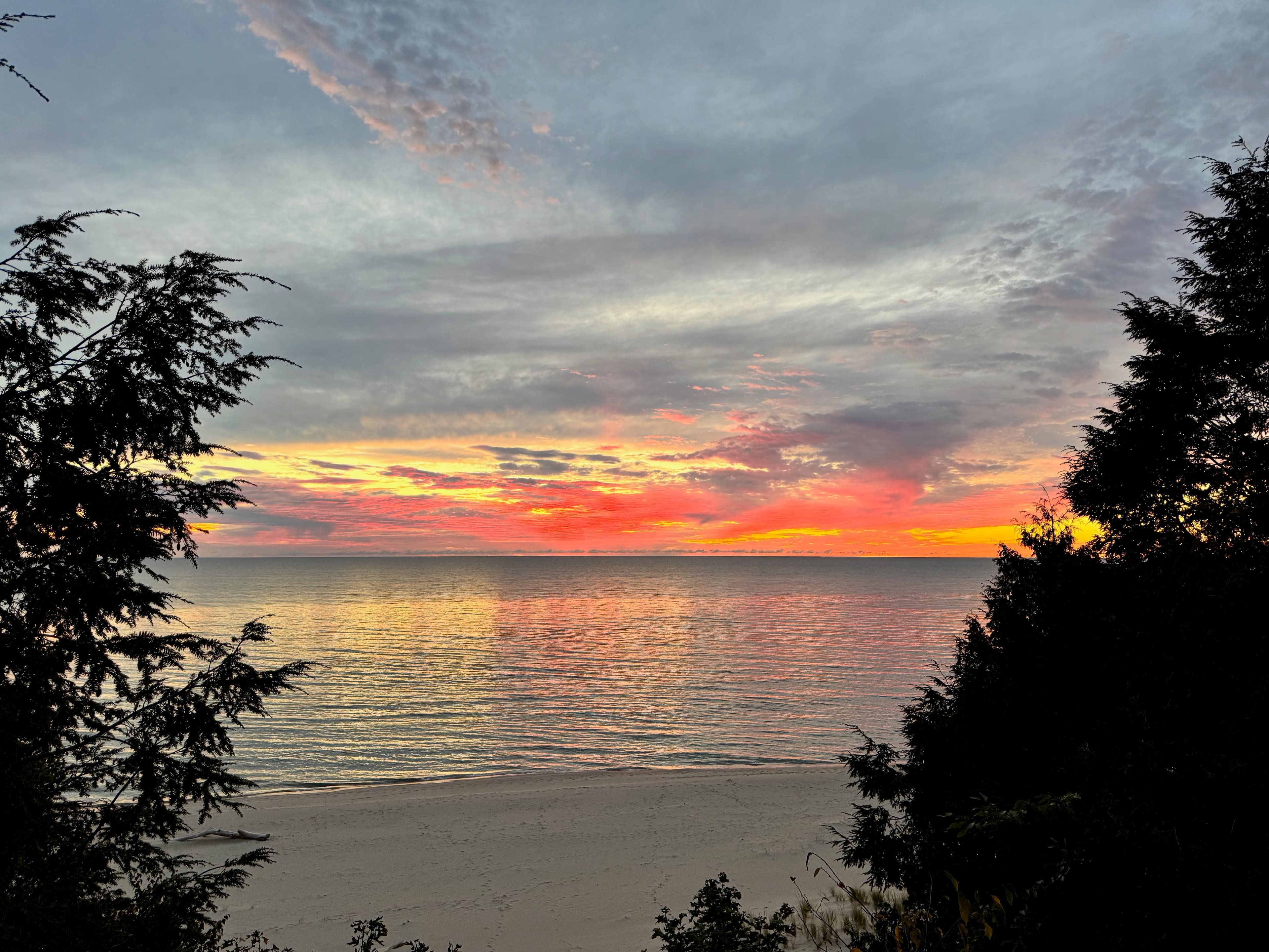 Breathtaking Lake Michigan sunset with vibrant orange and pink skies framed by pine trees
