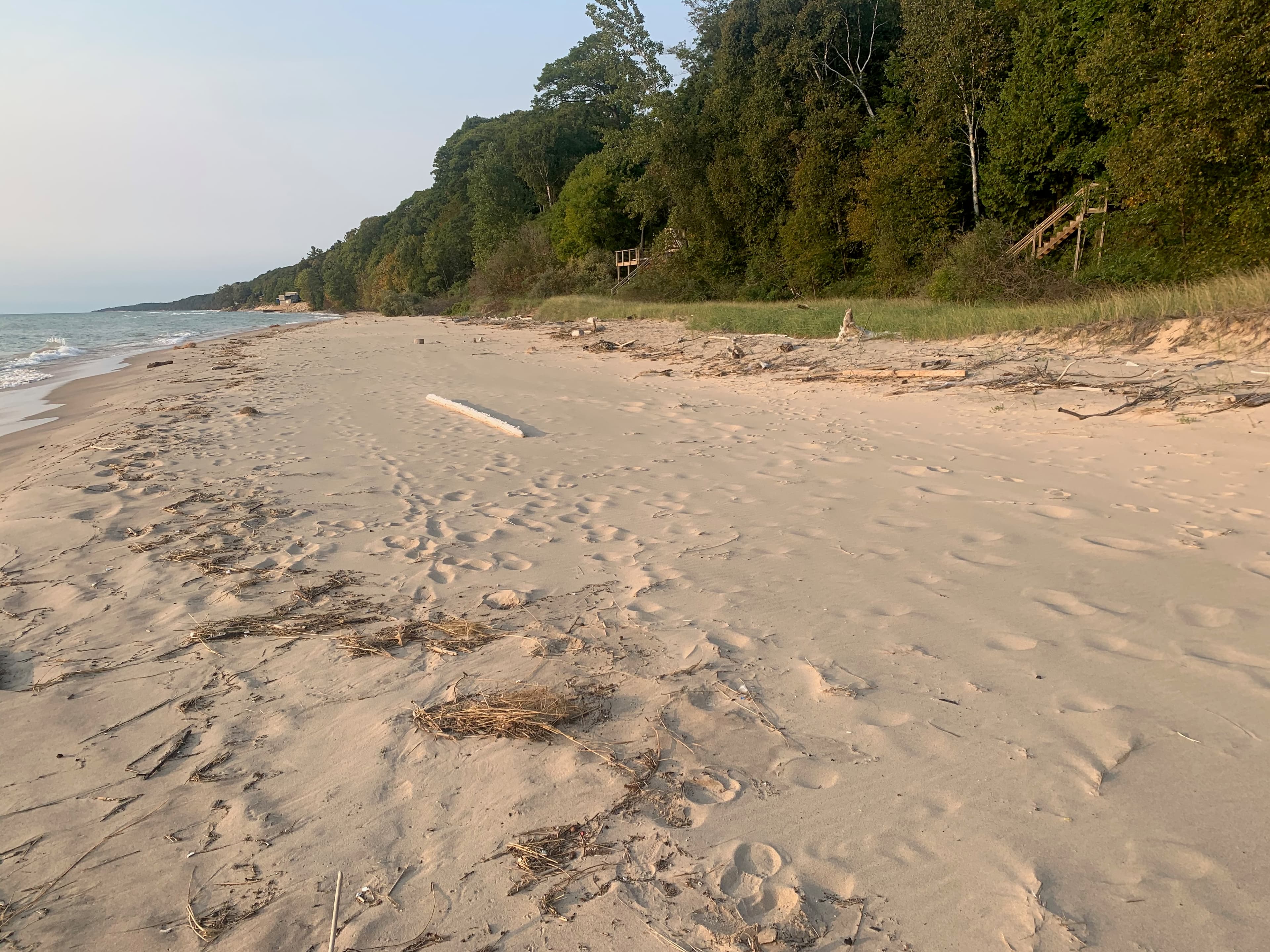 Private Lake Michigan beach with soft sand, driftwood, and wooded bluff